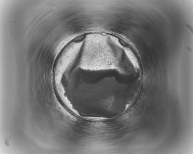 X0000101431239200807280953