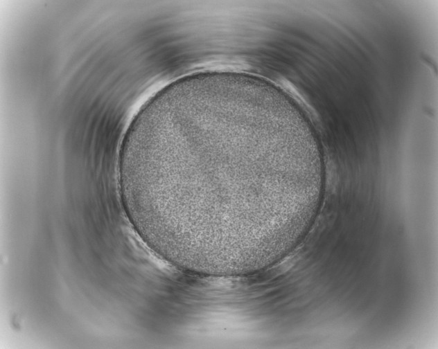 X0000101431240200807280953