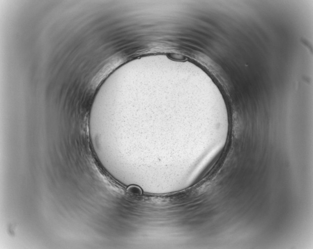 X0000101431241200807280953