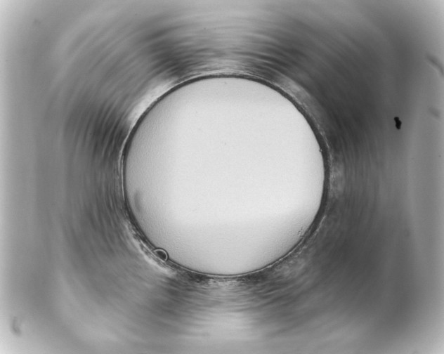 X0000101431242200807280953