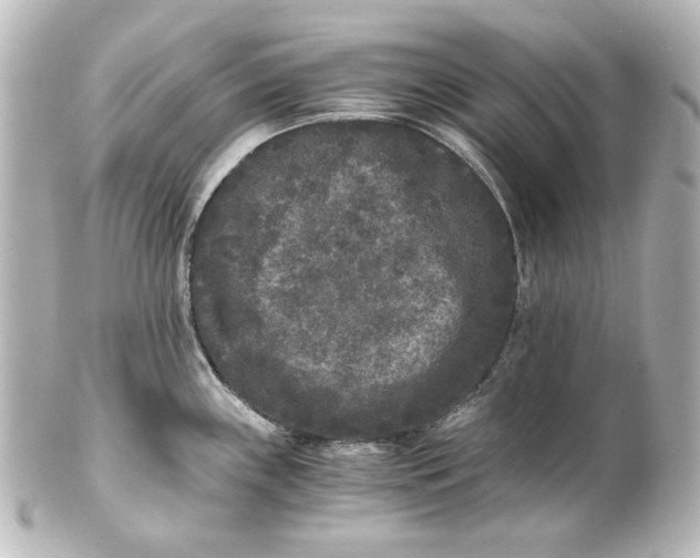 X0000101431243200807280953