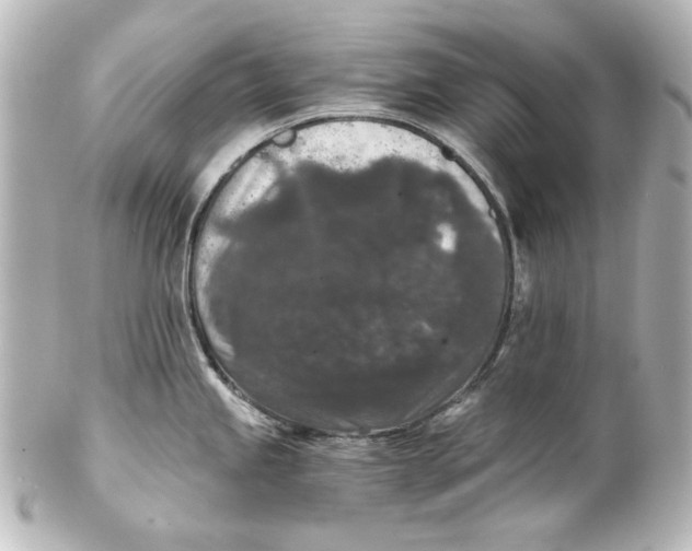 X0000101431245200807280953