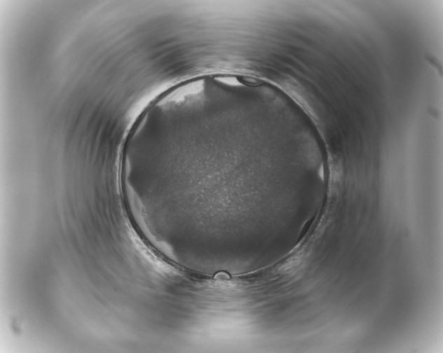 X0000101431246200807280953