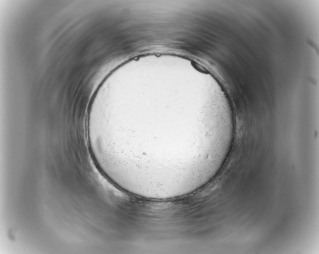 X0000101431247200807280953