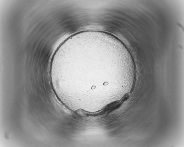 X0000101431248200807280953