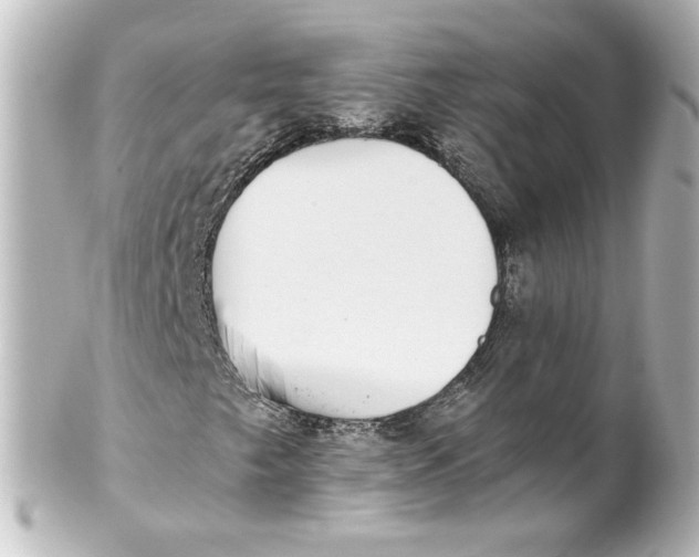 X0000101431249200807280953