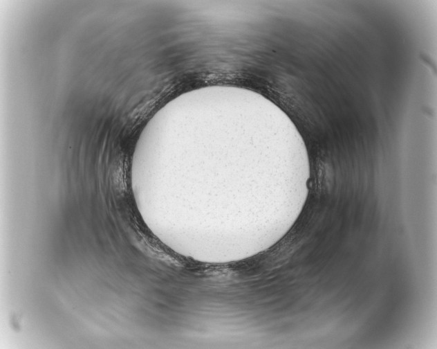 X0000101431250200807280953