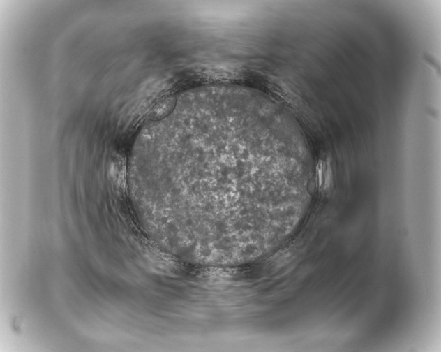 X0000101431251200807280953