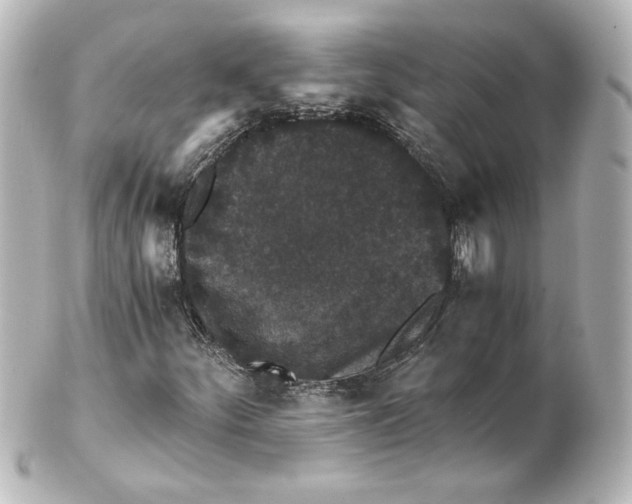 X0000101431252200807280953