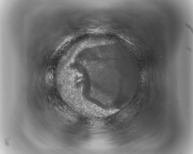 X0000101431254200807280953