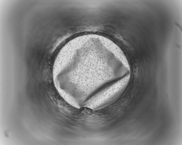 X0000101431256200807280953