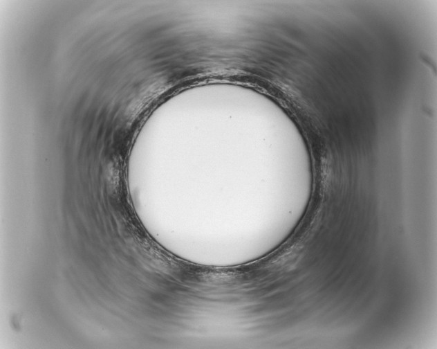 X0000101431257200807280953