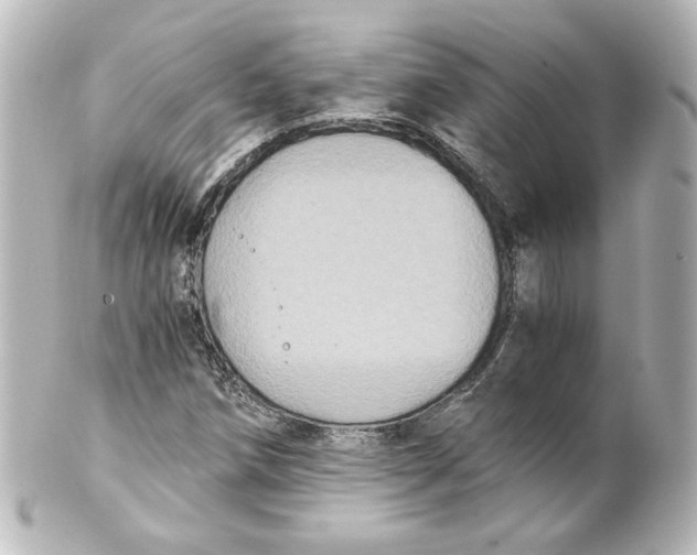 X0000101431258200807280953