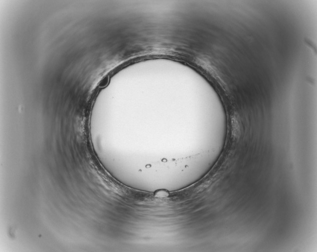 X0000101431260200807280953