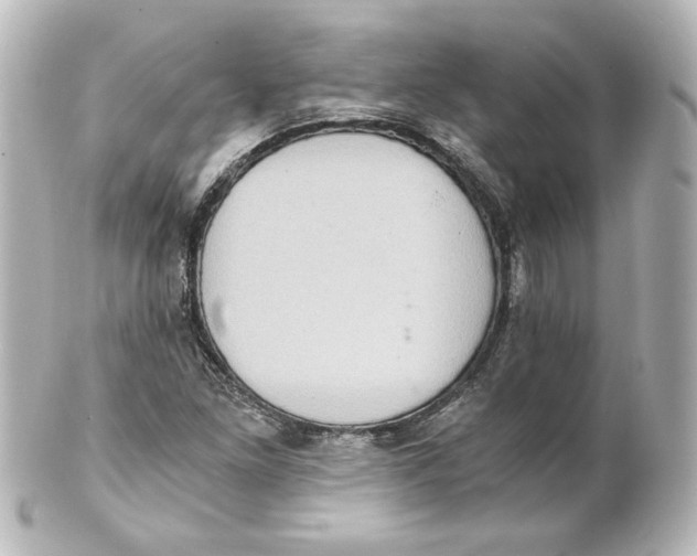 X0000101431261200807280953