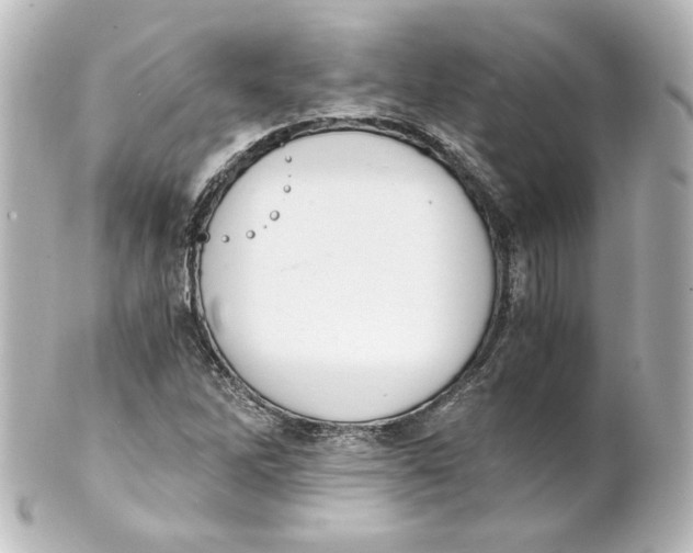 X0000101431262200807280952