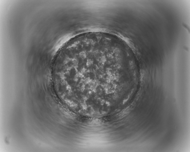 X0000101431263200807280952