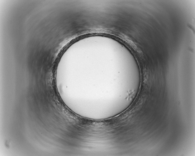 X0000101431264200807280952