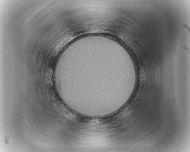 X0000101431265200807280952