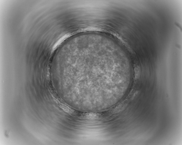 X0000101431266200807280952