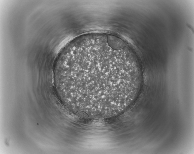 X0000101431267200807280952