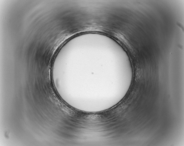 X0000101431268200807280952