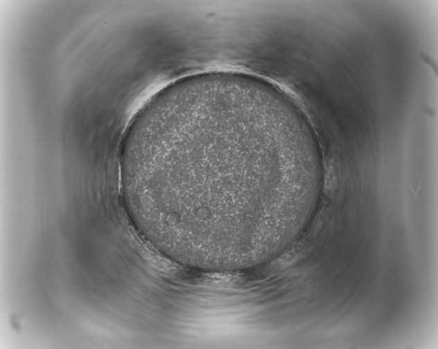 X0000101431271200807280952