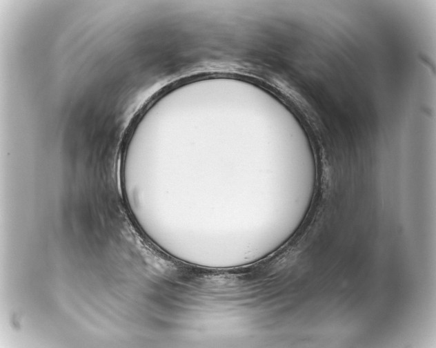 X0000101431272200807280952