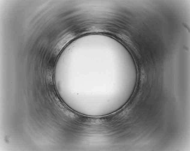 X0000101431273200807280952