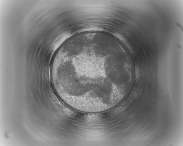 X0000101431274200807280952