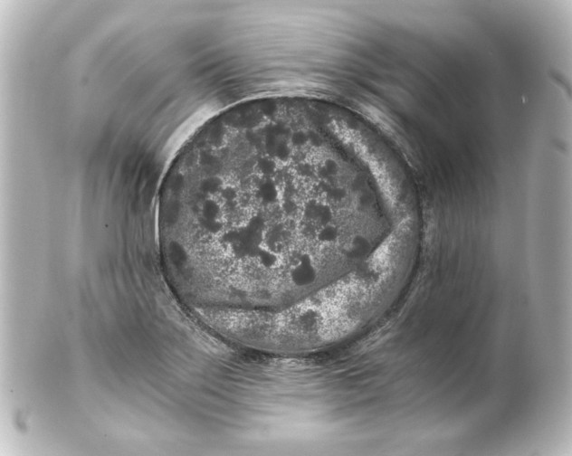 X0000101431275200807280952