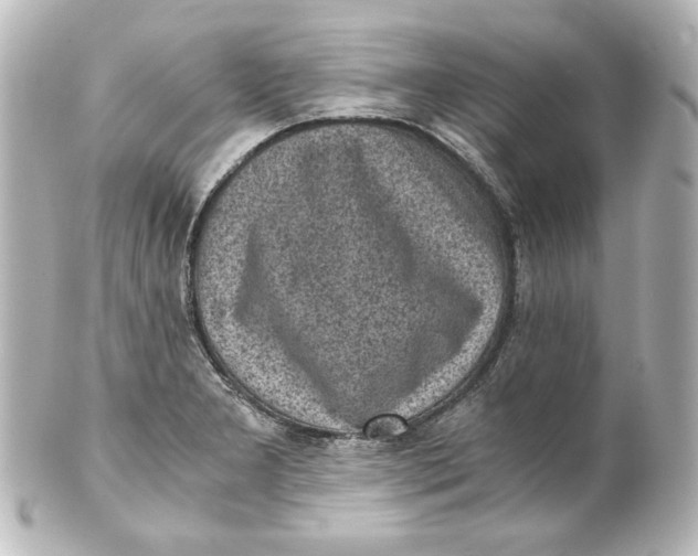 X0000101431277200807280952