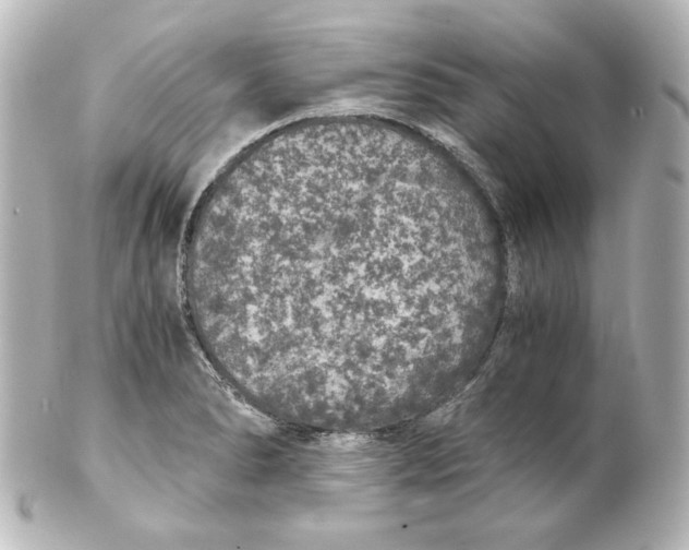 X0000101431278200807280952