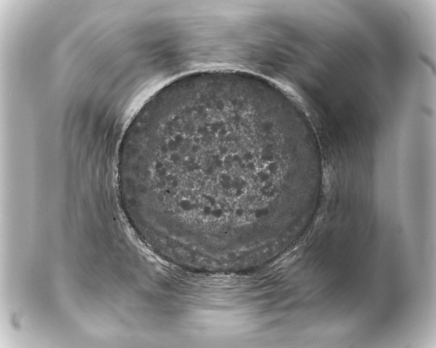 X0000101431279200807280952