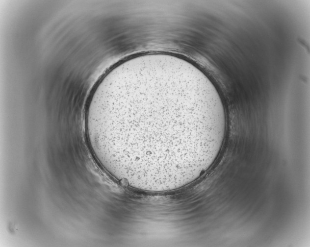 X0000101431280200807280952