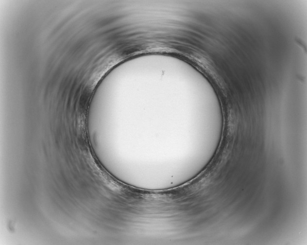 X0000101431281200807280952