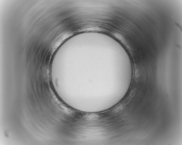 X0000101431282200807280952