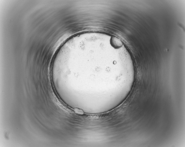 X0000101431283200807280952