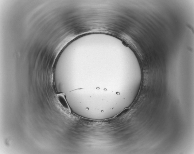 X0000101431284200807280952