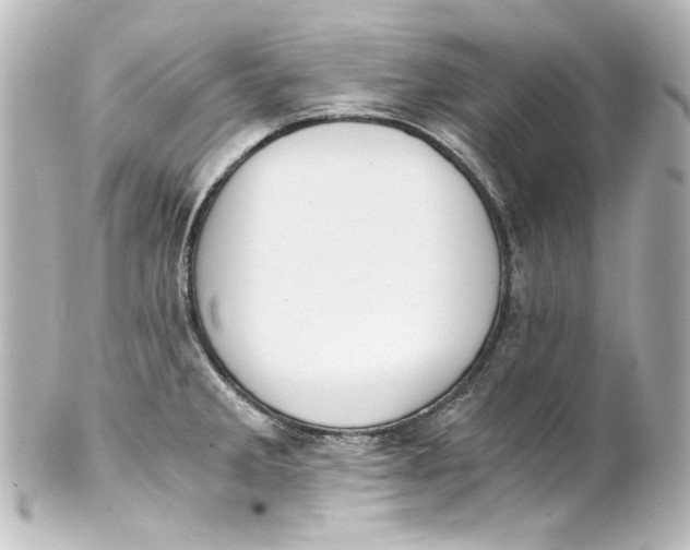 X0000101431285200807280952