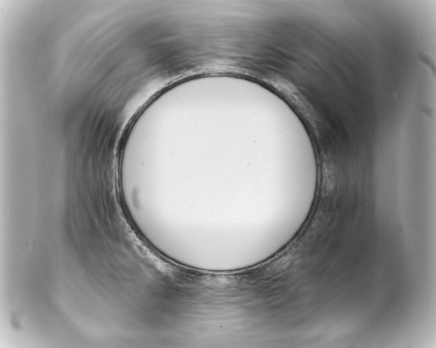 X0000101431286200807280952