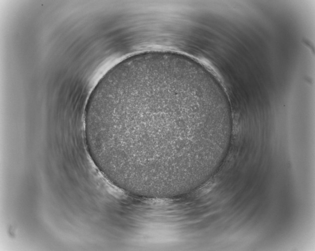 X0000101431287200807280952