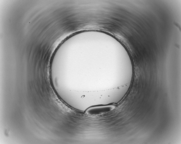 X0000101431288200807280952