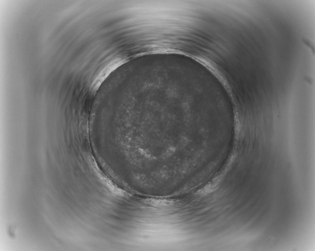 X0000101431289200807280952