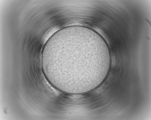 X0000101431290200807280952