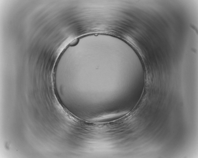 X0000101431291200807280952