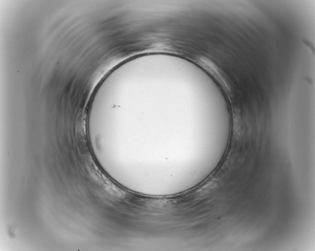 X0000101431292200807280952