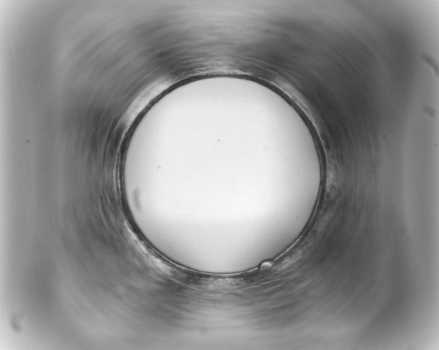 X0000101431293200807280952