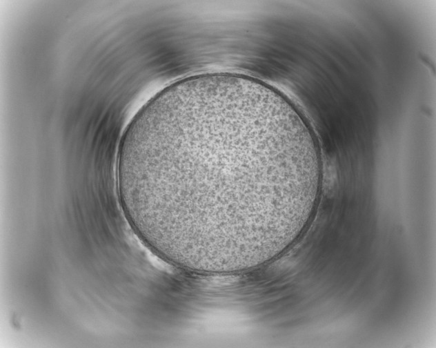 X0000101431294200807280952