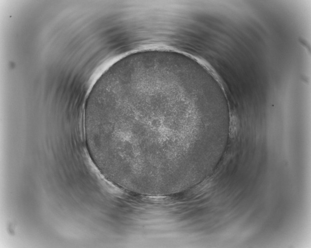 X0000101431295200807280952